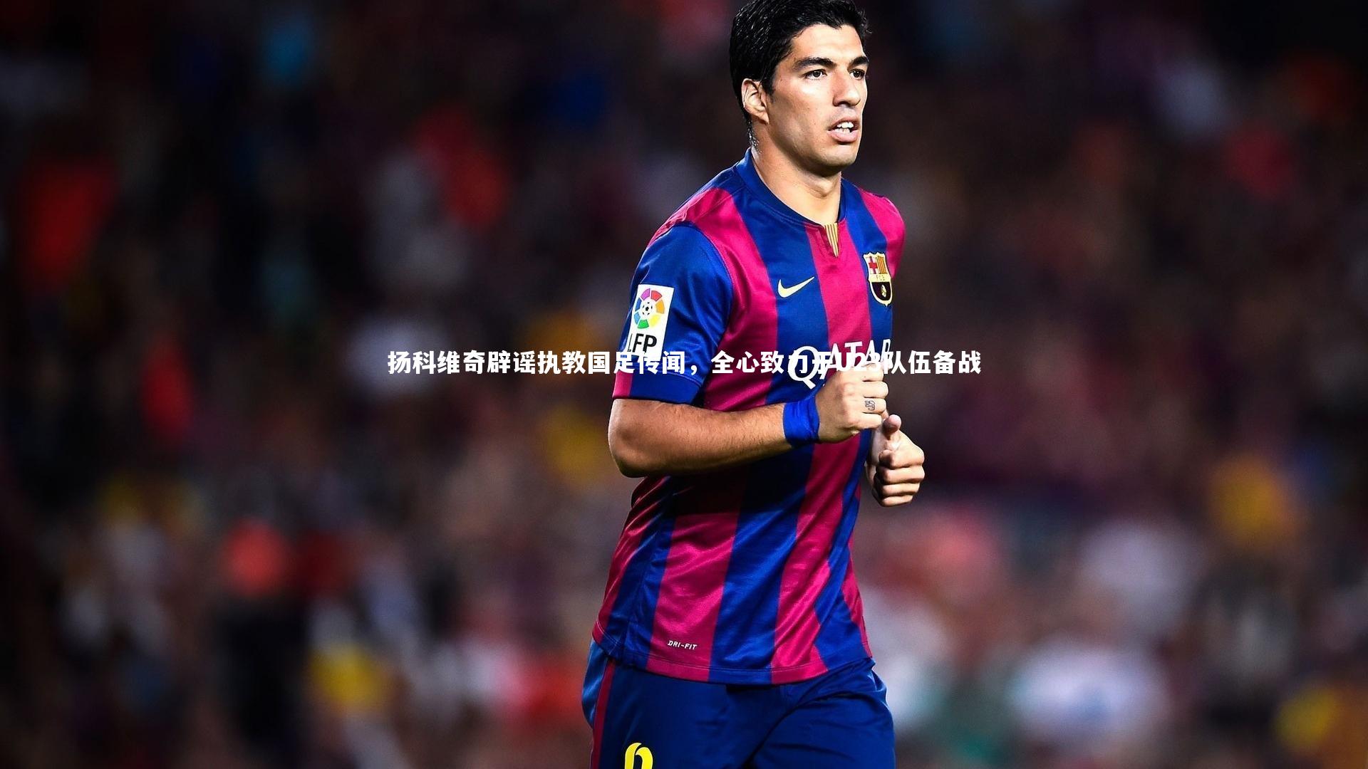 扬科维奇辟谣执教国足传闻，全心致力于U23队伍备战