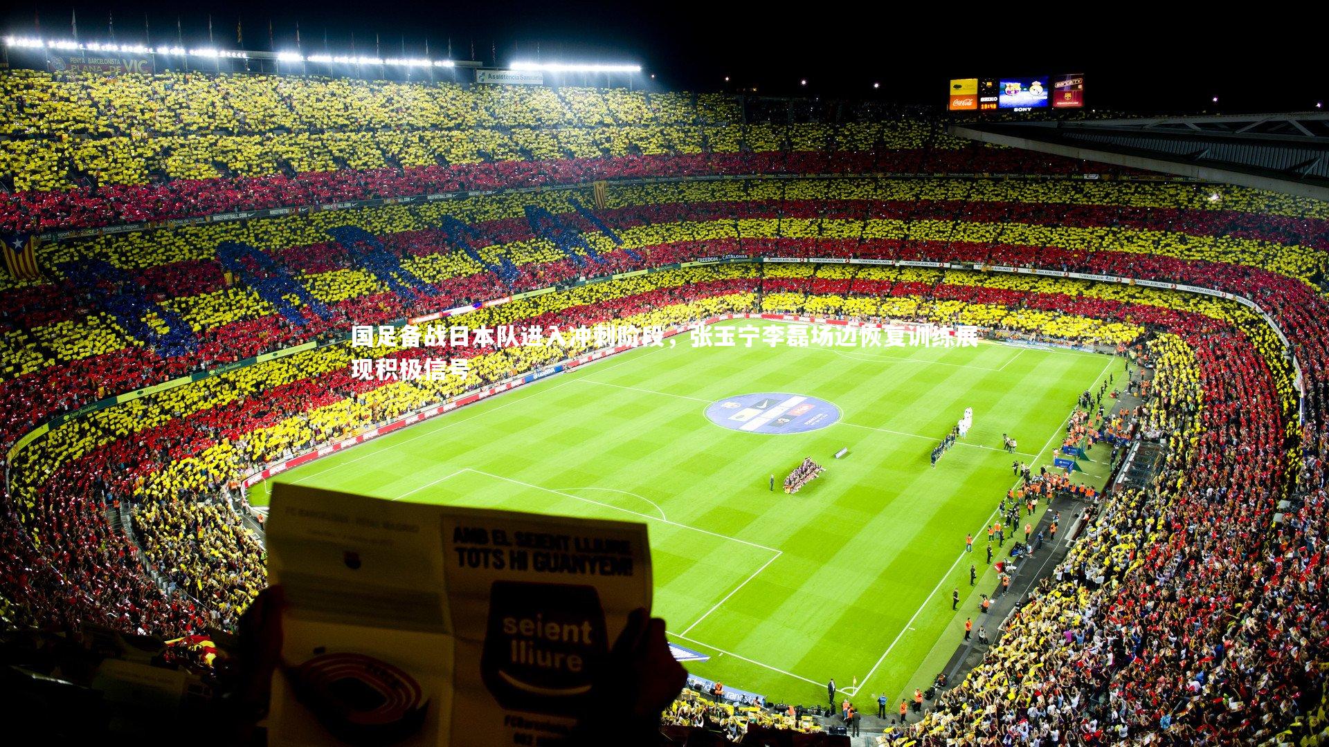 国足备战日本队进入冲刺阶段，张玉宁李磊场边恢复训练展现积极信号